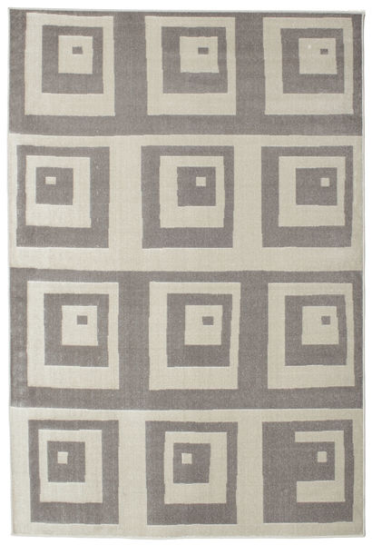 Maina - 회색 러그 160X230 모던 라이트 그레이/다크 베이지 ( 터키)