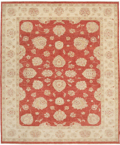 Ziegler tapijt NAZC876