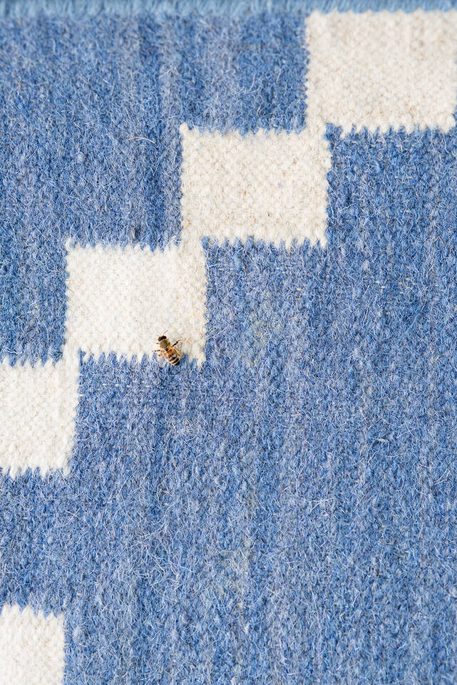 Tapete kilim moderno  em azul, numa entrada.
