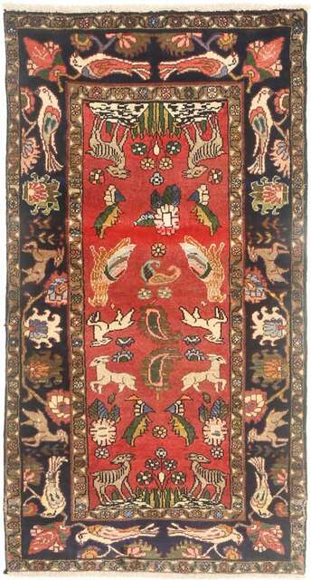 Koliai carpet AXVZZZZQ1148