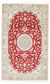 Nain 6La Habibian carpet BTA35