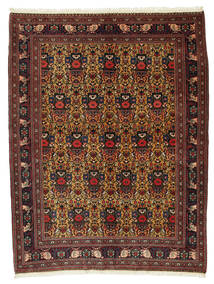 Afshar carpet VEXD1