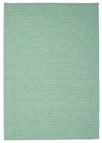 Kilim loom - Mint Green carpet CVD8679