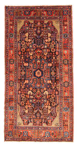 Nahavand carpet EXZX401