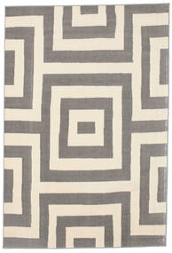 Sayali - Cinzento Tapete 160X230 Moderno Bege/Cinzento Claro ( Turquia)