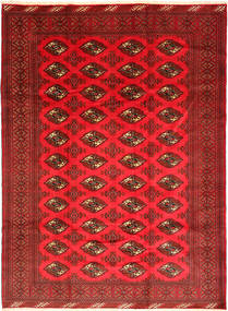 Turcomano Tapete 206X281 Oriental Feito A Mão Vermelho Escuro/Vermelho (Lã, Pérsia/Irão)