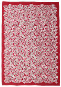 Camelia matta CVD14943