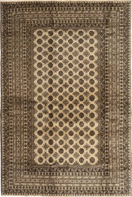 Afghan Natural carpet ABCX1460