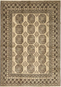 Afghan Natural carpet ABCX1465