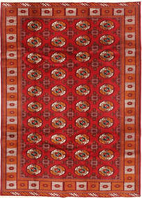 Tapete Turcomano RXZI451