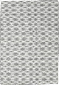 Kilim Long Stitch - 진한 회색 카페트 CVD18832