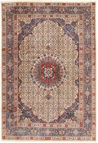 Moud carpet AXVZZZF741