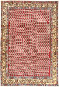 Afshar carpet AXVZZZF4
