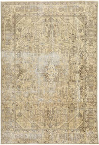 Colored Vintage 카페트 AXVZZZF276