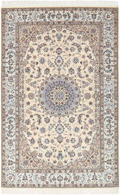 Nain 6La carpet RXZM3