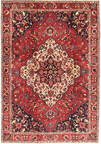 Tapete Bakhtiari AXVZZZO177