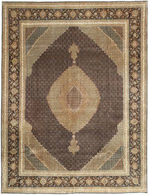 Tabriz 50 Raj carpet AXVZZZY220