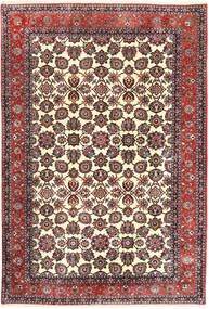 Bidjar Takab / Bukan carpet AXVZZZY34