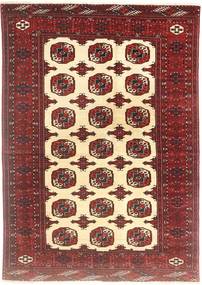 Turkaman carpet AXVZL4765