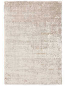Broadway - Gris Tendre Tapis 200X300 Moderne Gris Clair/Beige ( Inde)