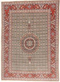 Moud carpet AXVZZZZQ1964