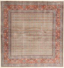 Moud carpet AXVZZZZQ595