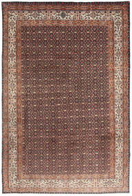Moud carpet AXVZZZZQ1943