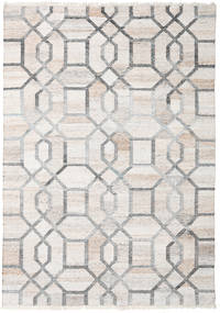 Tracy Sag 170X240 Autentični
 Moderni Ručno Tkani Svjetlosiva/Bijela/Krem ( Indija)