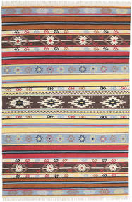 Kilim - Navaja - Navaja 카페트 CVD20806
