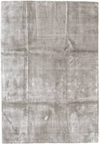 Broadway - Secondary Rug 200X300 Modern Light Grey ( India)