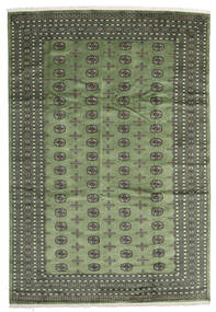 Pakistan Bokhara 2Ply Rug 243X356 Authentic
 Oriental Handknotted Olive Green/Dark Grey/Dark Green (Wool, Pakistan)