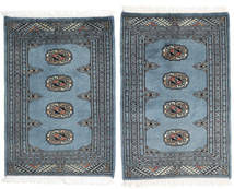 Pakistan Bokhara 2Ply Rug 62X88 Authentic Oriental Handknotted (Wool, Pakistan)