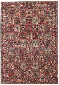 Bakhtiar Patina Alfombra 253X365 Oriental Hecha A Mano Rojo Oscuro/Marrón Oscuro Grande (Lana, Persia/Irán)