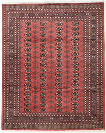 Pakistan Bokhara 2Ply Vloerkleed 242X301 Echt Oosters Handgeknoopt Donkerrood/Bruin (Wol, Pakistan)