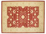 Farahan Ziegler - Rot Teppich RVD9710