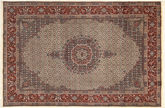 Moud Sherkate Farsh carpet BTE108