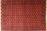 Bokhara / Yamut carpet AXVZB56
