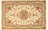 Tabriz 50 Raj carpet AXVZC1063