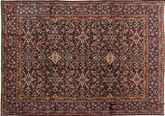 Moud carpet TBZZO289
