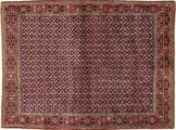 Senneh carpet AXVZL4450