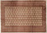 Turkaman carpet RXZI452