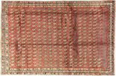 Afshar carpet AXVZZX1
