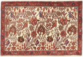 Rudbar carpet AXVZZZF1083