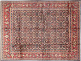 Arak carpet AXVZZZF12