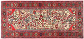 Rudbar carpet AXVZZZO741
