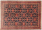 Lillian carpet AXVZZZZQ1214