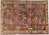 Bakhtiari carpet AXVZZZZQ1249