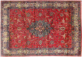 Sarouk carpet AXVZZZZQ1856