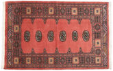 Pakistan Bokhara 2ply carpet RXZQ195
