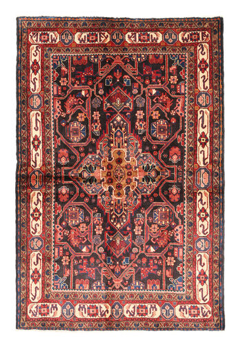Nahavand carpet EXZX412